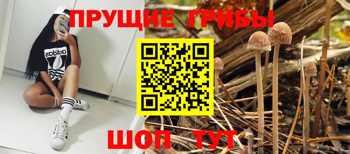 Псилоцибиновые грибы Magic Shrooms Алатырь